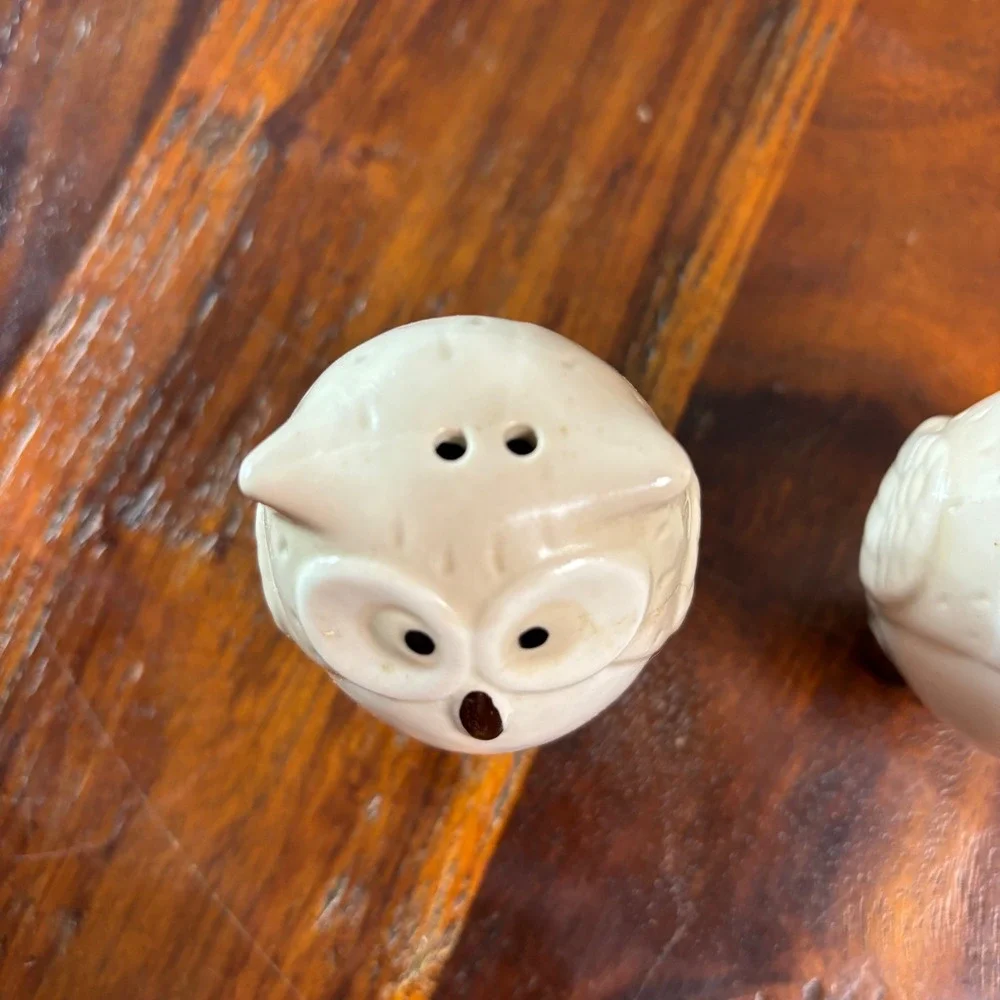 Pier One Imports Ceramic Owl Salt and Pepper Shakers Cream Brown Set of 2